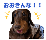 840617365