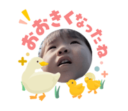 840617445