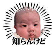 840618658