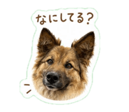 840618715