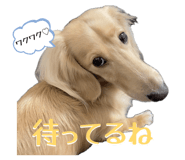 840619514