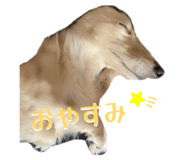 840619515