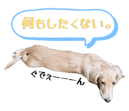 840619527