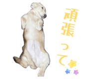 840619530