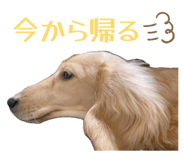 840619532