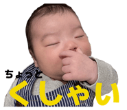 840619556