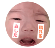 840619557