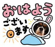 840620301