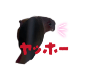 840620569
