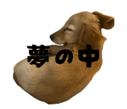 840620572