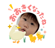 840620581
