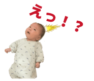 840620613
