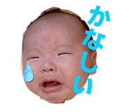 840620617