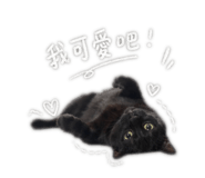 840620920