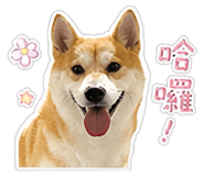 840623682