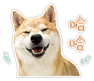 840623689