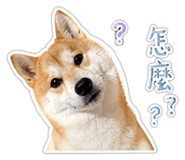 840623698