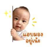 840623910