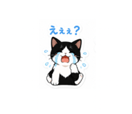 840625610