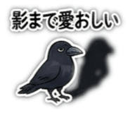 840625720
