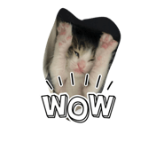 840625808