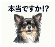 840626259