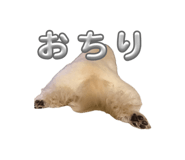 840626547