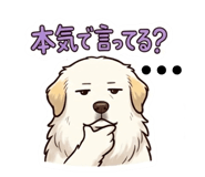 840626629