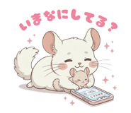 840627255