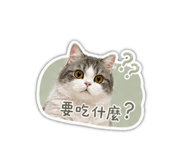 840628511