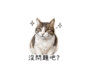 840628592