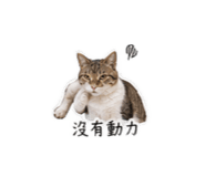 840628607