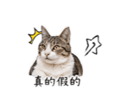 840628614
