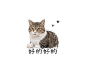 840628616