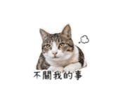 840628622