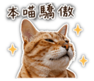 840629266