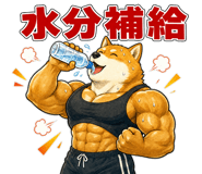 840631166