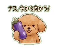 840631435