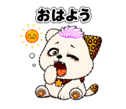 840631662