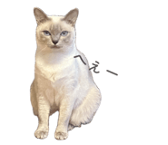 840632345