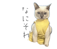 840632348