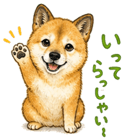 840632666