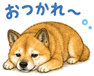 840632674