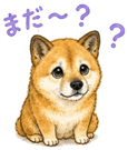 840632677