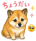 840632678