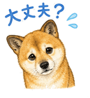 840632682