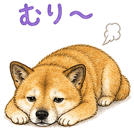 840632688