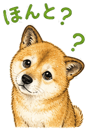 840632691