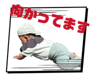 840633948