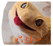 840634168